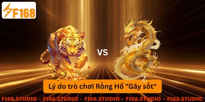 Lý do trò chơi rồng hổ gây sốt